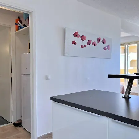 Apartment Le Lavandou, 1 Piece, 4 Personnes - Fr-1-251-495 *